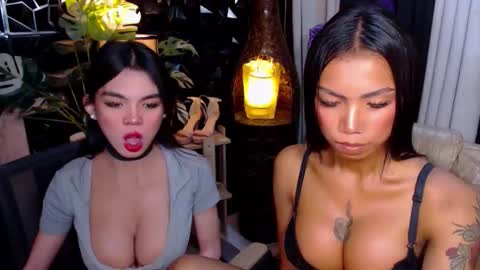 wildara online show from November 25, 2025, 11:27 pm