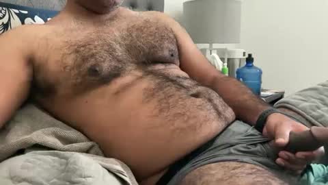 wildhungry online show from February 18, 2025, 7:30 pm