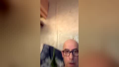 will19672025 online show from April 11, 2026, 9:57 am