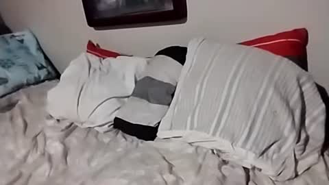 Snapshot of willfast chatting on October 7, 2025, 7:05 am willfast online show from October 7, 2025, 7:05 am