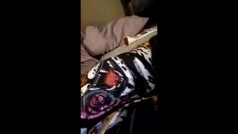 williebrad4 online show from April 4, 2026, 6:22 am