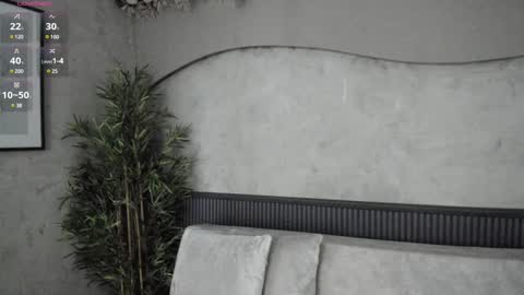 Ms Willow online show from December 12, 2024, 12:01 pm