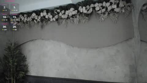 Ms Willow online show from December 29, 2024, 12:01 pm