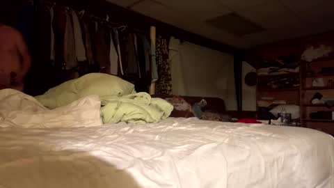 Snapshot of willy_dirk chatting on November 8, 2025, 10:04 am willy_dirk online show from November 8, 2025, 10:04 am