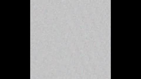 wilmot69noah online show from February 7, 2025, 1:43 pm