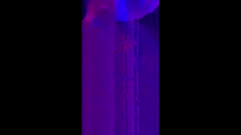 winston_woods69 online show from June 8, 2026, 8:48 am
