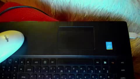 Snapshot of winter_miracle chatting on January 20, 2025, 7:36 am Winter Miracle online show from January 20, 2025, 7:36 am