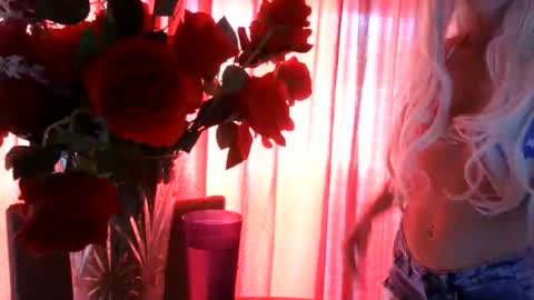 WishGoddes online show from May 25, 2026, 10:49 pm