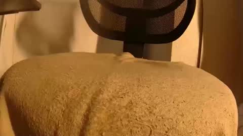 Snapshot of withbothhandsplease chatting on February 5, 2026, 1:49 pm Mater online show from February 5, 2026, 1:49 pm