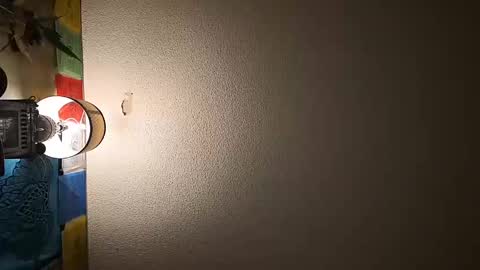 wizardmike421 online show from November 19, 2025, 3:06 am