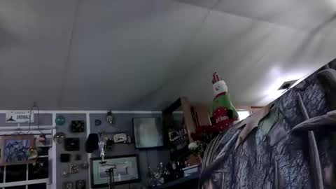 wldlife online show from November 25, 2025, 2:44 am