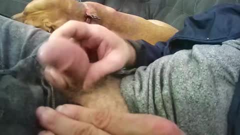 wmasolutions2020 online show from March 12, 2026, 3:23 am