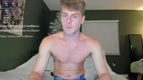 Wolfienov online show from February 14, 2025, 12:51 am