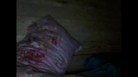 Snapshot of wolfvili chatting on March 10, 2026, 6:24 pm Vili online show from March 10, 2026, 6:24 pm