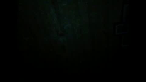 Snapshot of wolfvili chatting on March 20, 2026, 6:46 pm Vili online show from March 20, 2026, 6:46 pm