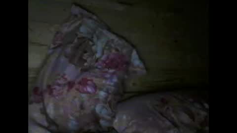 Snapshot of wolfvili chatting on April 15, 2026, 6:37 pm Vili online show from April 15, 2026, 6:37 pm