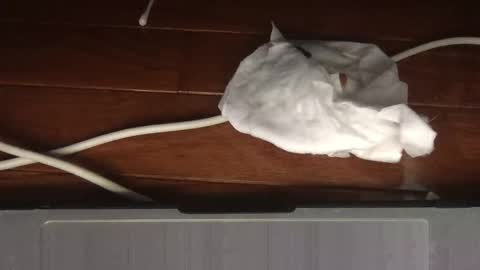 Sultan Blaze online show from February 19, 2026, 5:03 am