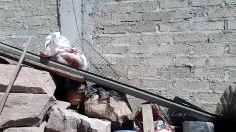 WolvyGalan online show from January 20, 2025, 7:04 pm