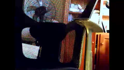 Snapshot of woodyforyou2 chatting on January 19, 2026, 12:47 am woodyforyou2 online show from January 19, 2026, 12:47 am