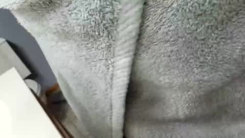 workingman6969 online show from February 26, 2025, 9:37 pm