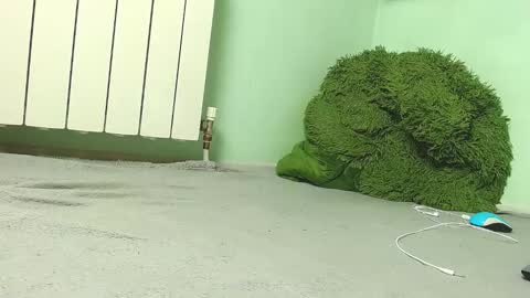 Snapshot of wow_devil chatting on December 27, 2024, 6:57 am wow_devil online show from December 27, 2024, 6:57 am