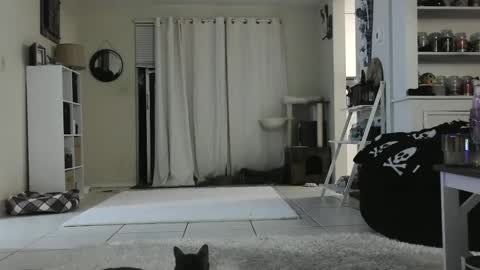 Crystal Lake online show from December 26, 2024, 9:22 am