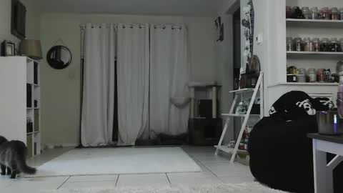 Crystal Lake online show from January 3, 2025, 5:28 am