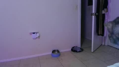 Crystal Lake online show from November 30, 2025, 5:22 am