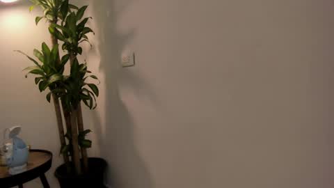 xander_hot7 online show from February 20, 2025, 8:28 am