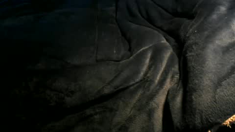 Snapshot of xbigtymerx chatting on January 6, 2025, 12:35 pm Toke online show from January 6, 2025, 12:35 pm