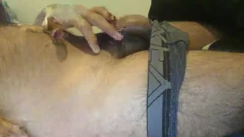 Snapshot of xenextra chatting on December 3, 2024, 10:39 am xenextra online show from December 3, 2024, 10:39 am