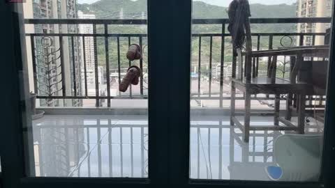 xinbao799322 online show from July 9, 2026, 9:24 am