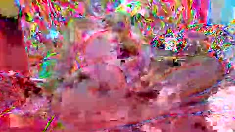 xixo696969 online show from December 15, 2025, 7:07 pm