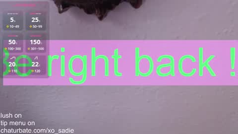 Snapshot of xo_sadie chatting on February 9, 2025, 9:49 pm Xo Sadie online show from February 9, 2025, 9:49 pm