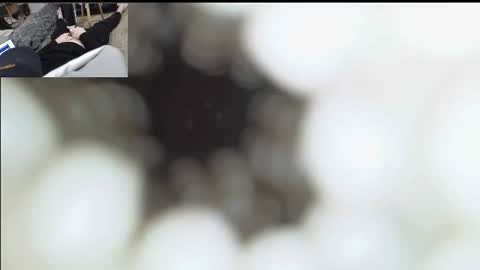 xoxowtf online show from January 11, 2026, 6:57 pm