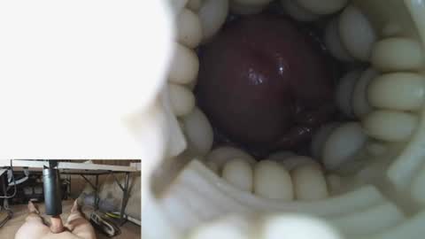 Snapshot of xoxowtf chatting on June 20, 2026, 5:10 am xoxowtf online show from June 20, 2026, 5:10 am