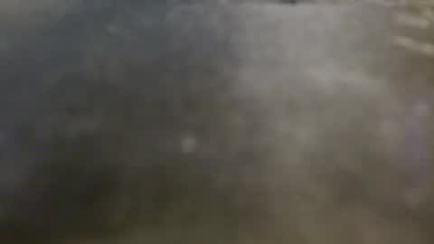 cum4you online show from May 1, 2026, 3:22 am