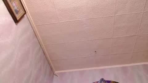 isa and gonzo online show from December 20, 2024, 11:54 am