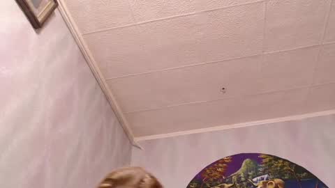 isa and gonzo online show from March 7, 2025, 12:01 pm