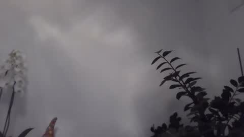 yakijoe online show from March 1, 2026, 10:56 pm