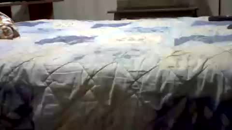 Yankee online show from July 26, 2026, 5:37 am