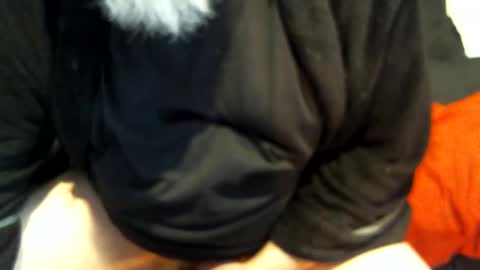 .     y e l l o w s n a k e s       . online show from February 1, 2025, 10:13 pm