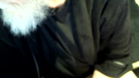 .     y e l l o w s n a k e s       . online show from February 2, 2025, 8:02 am