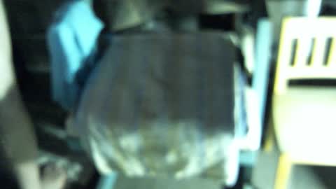 .     y e l l o w s n a k e s       . online show from February 19, 2026, 5:14 am