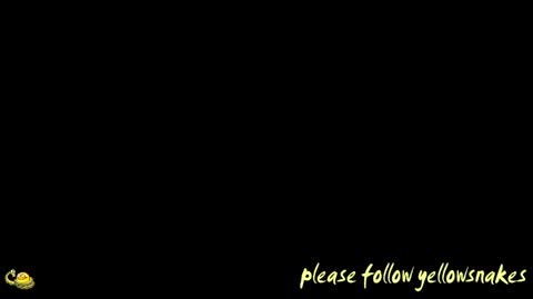 .     y e l l o w s n a k e s       . online show from April 13, 2026, 11:48 am