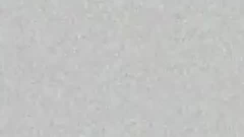 .     y e l l o w s n a k e s       . online show from April 16, 2026, 1:56 pm