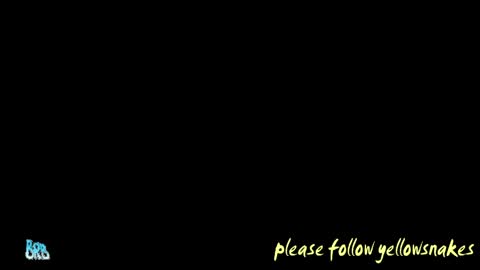 .     y e l l o w s n a k e s       . online show from May 12, 2026, 5:10 pm