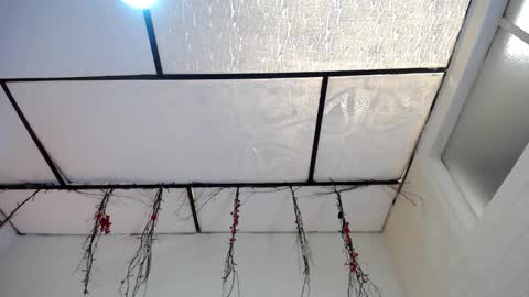 YEM online show from March 16, 2026, 4:44 pm