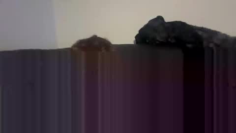 Self fucking fucktoy online show from April 26, 2026, 1:58 am