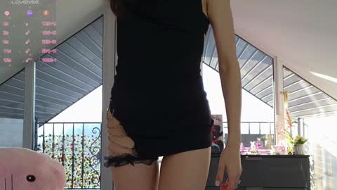  Wilma  online show from January 27, 2025, 1:19 pm